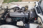 IMG-20230131-WA0007