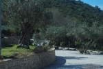 P3260384