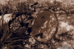 P3260387