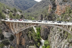 Spring Gallop 2024